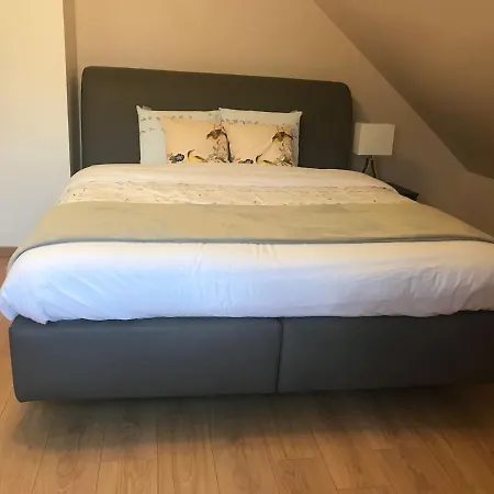 Lucmoon Guest house Ghent